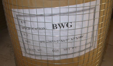 Welded Wire Mesh Rolls